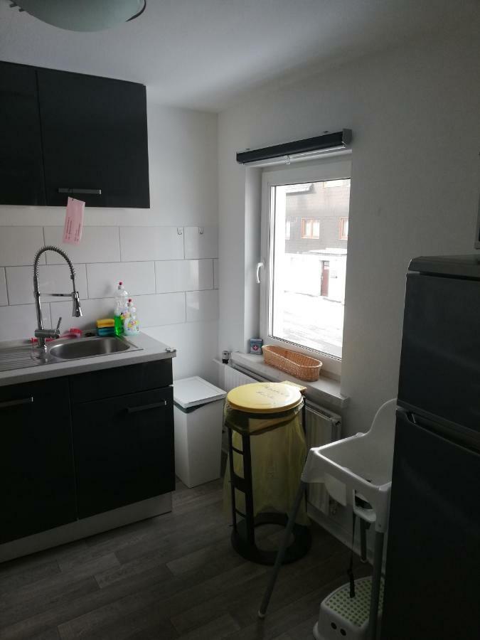 Eleonora Apartment Winterberg Bagian luar foto